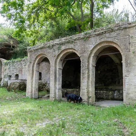 Altamira Residence-2